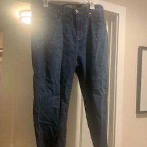 Torrid Premium Stretch Jeans